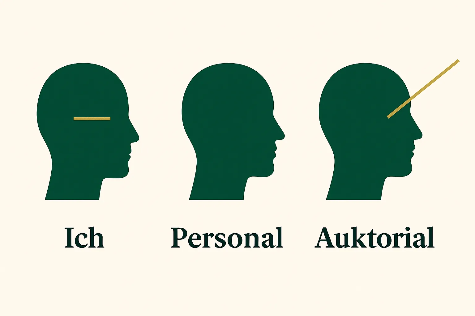 Drei Köpfe mit Sichtlinien als Vergleich von Ich-Perspektive, personal und auktorial